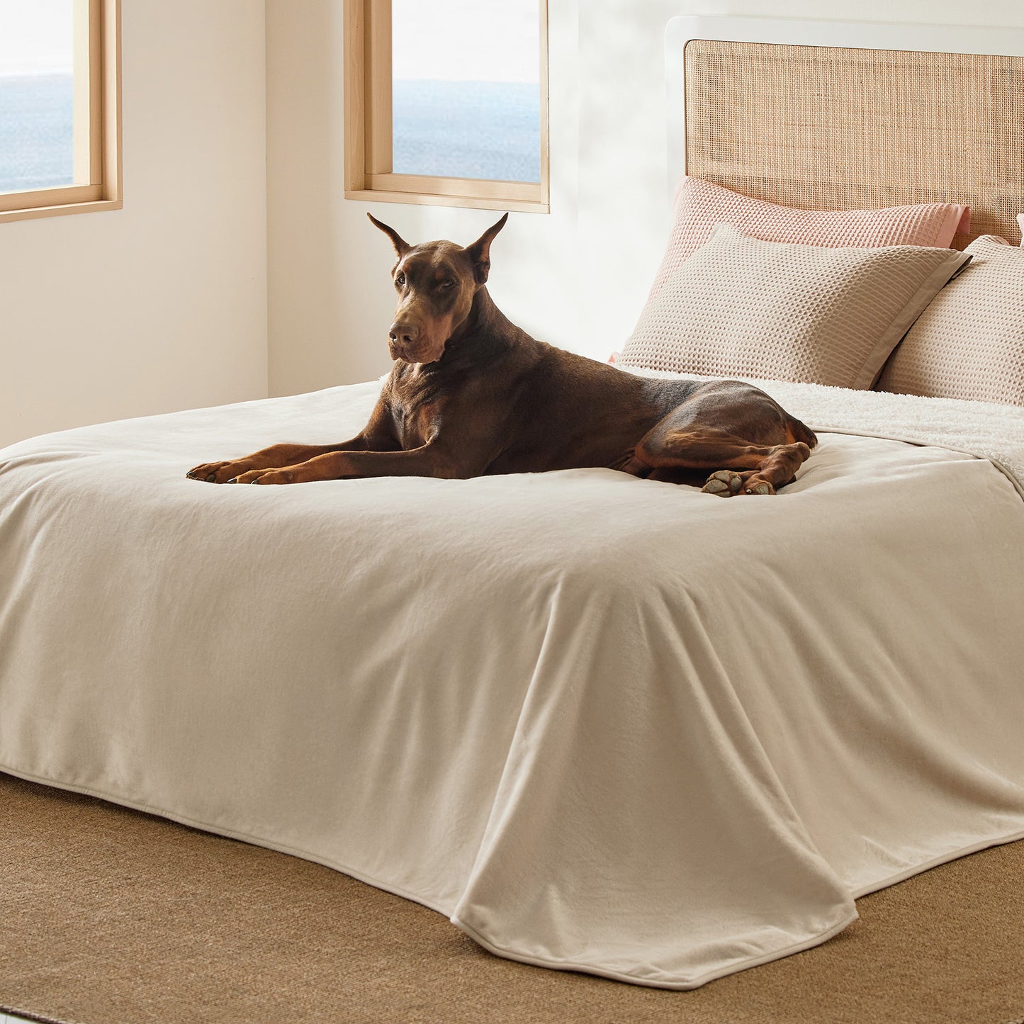 Reversible Sherpa and Microfiber Fleece Dog Blanket