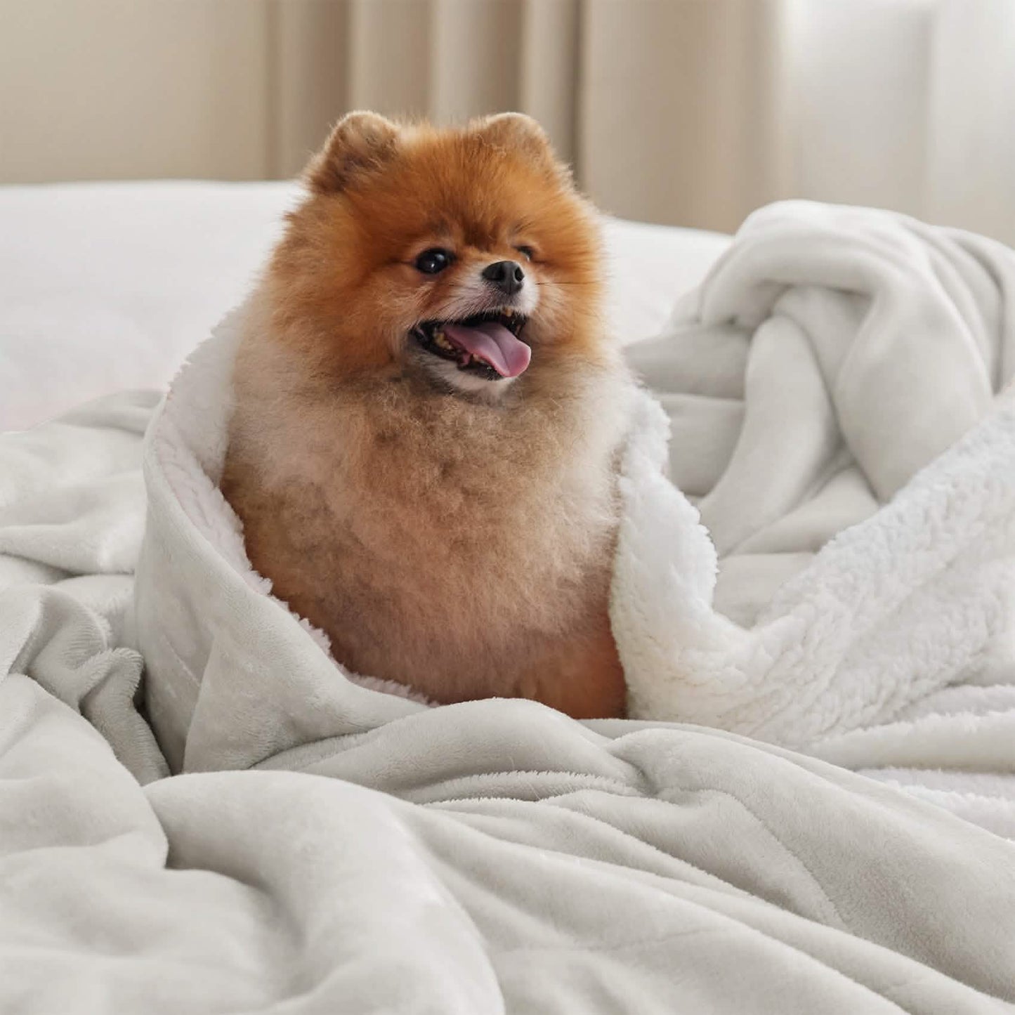 Sherpa Fleece Blanket