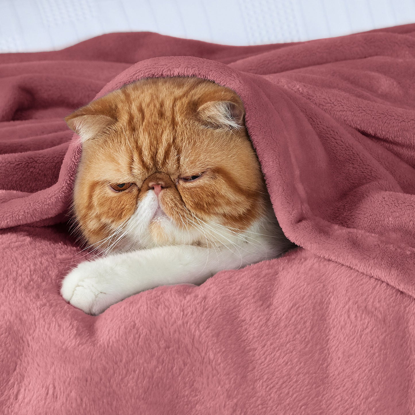 GentleSoft™ Flannel Fleece Blanket 280gsm