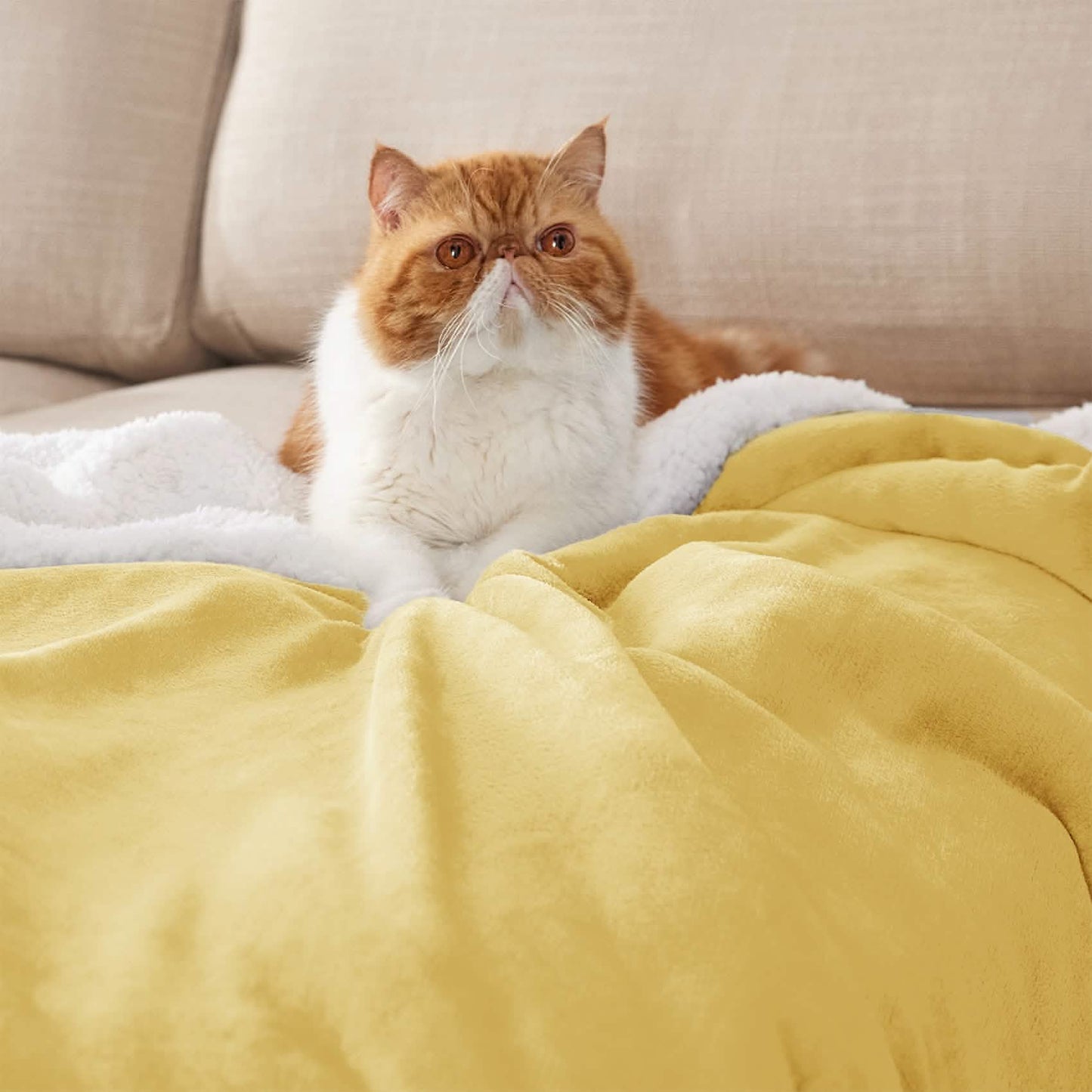 Sherpa Fleece Blanket