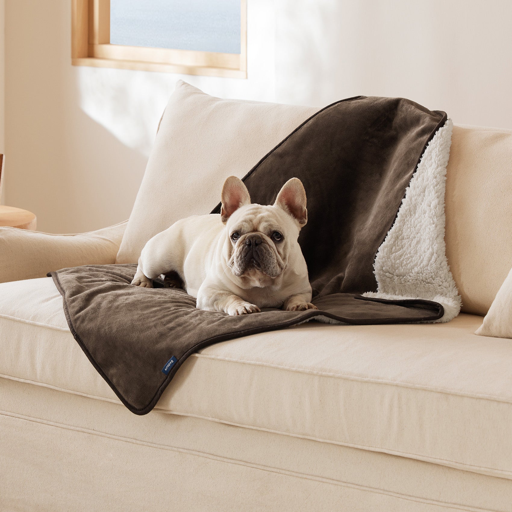 Reversible Sherpa and Microfiber Fleece Dog Blanket