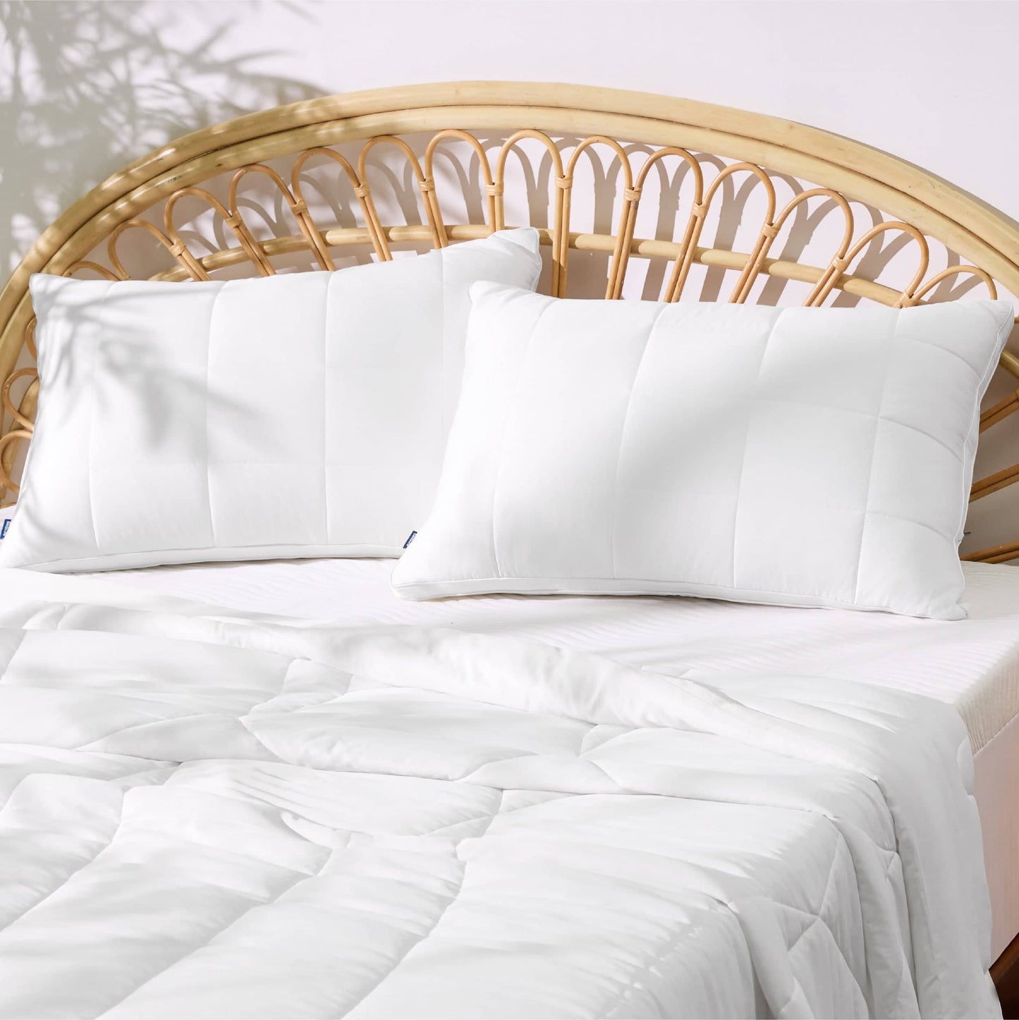 Reversible Rayon Derived from Bamboo Pillows