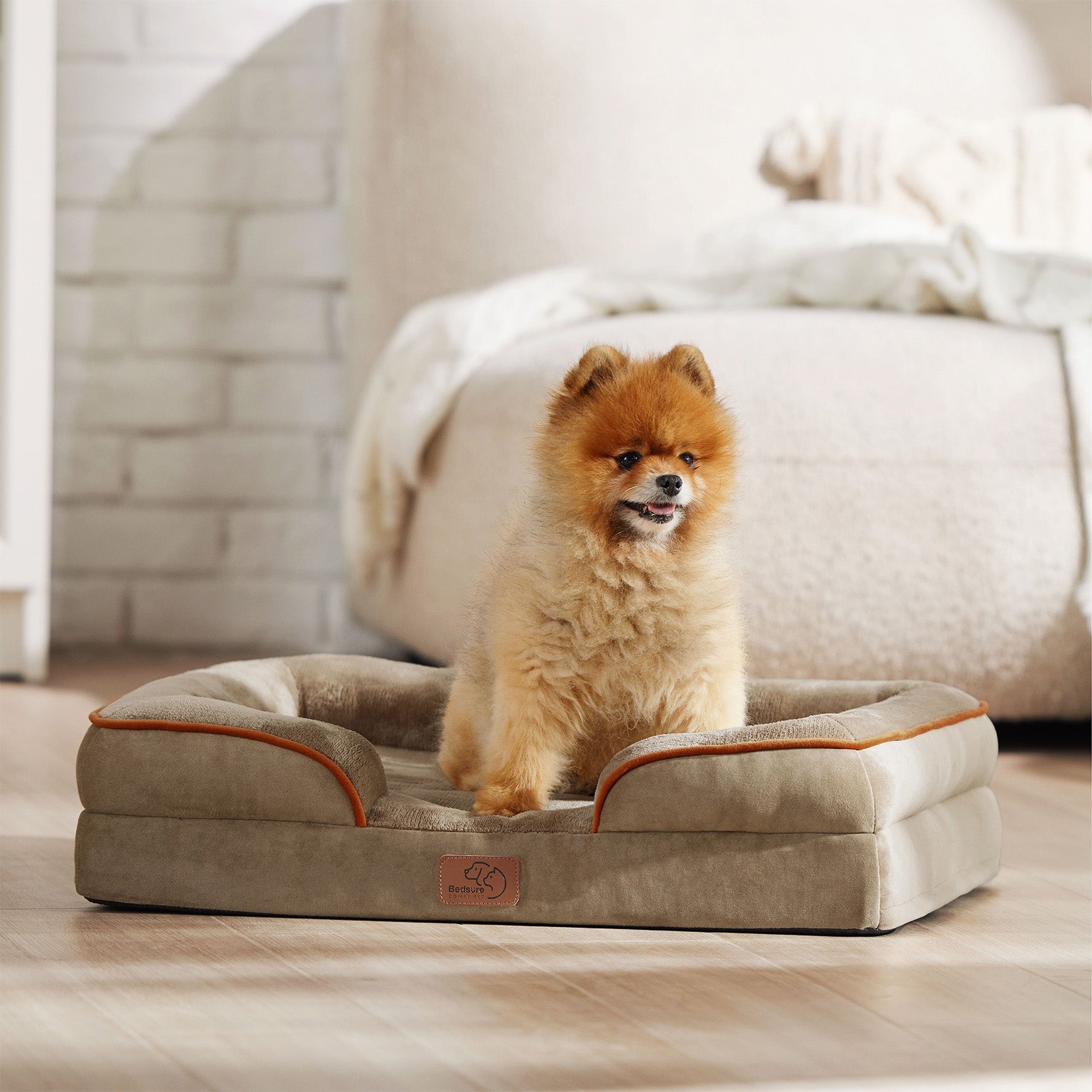 pet bed