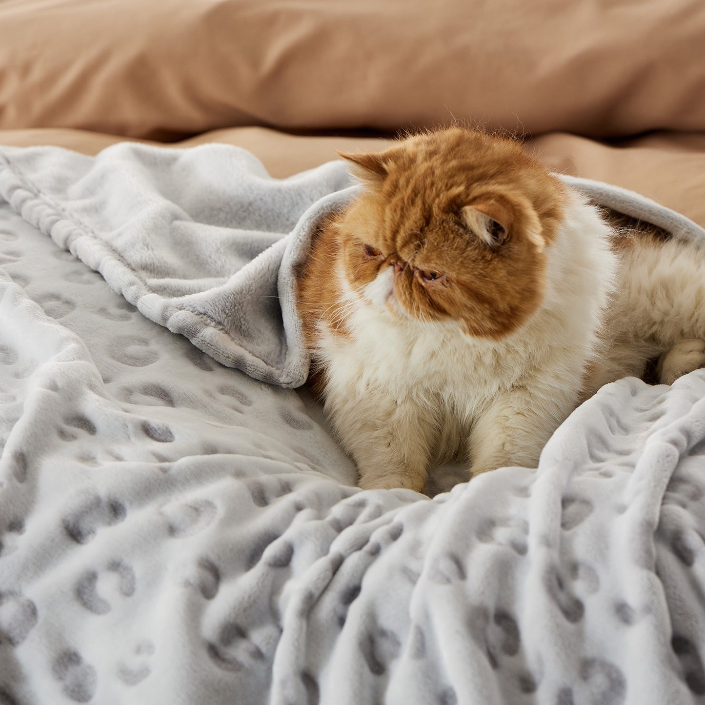 Arch Shaggy Sherpa Fleece Blanket