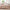 GentleSoft™ Floral Comforter Set