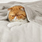 GentleSoft™ Flannel Fleece Blanket 280gsm