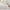 Tufted Embroidery Comforter Set
