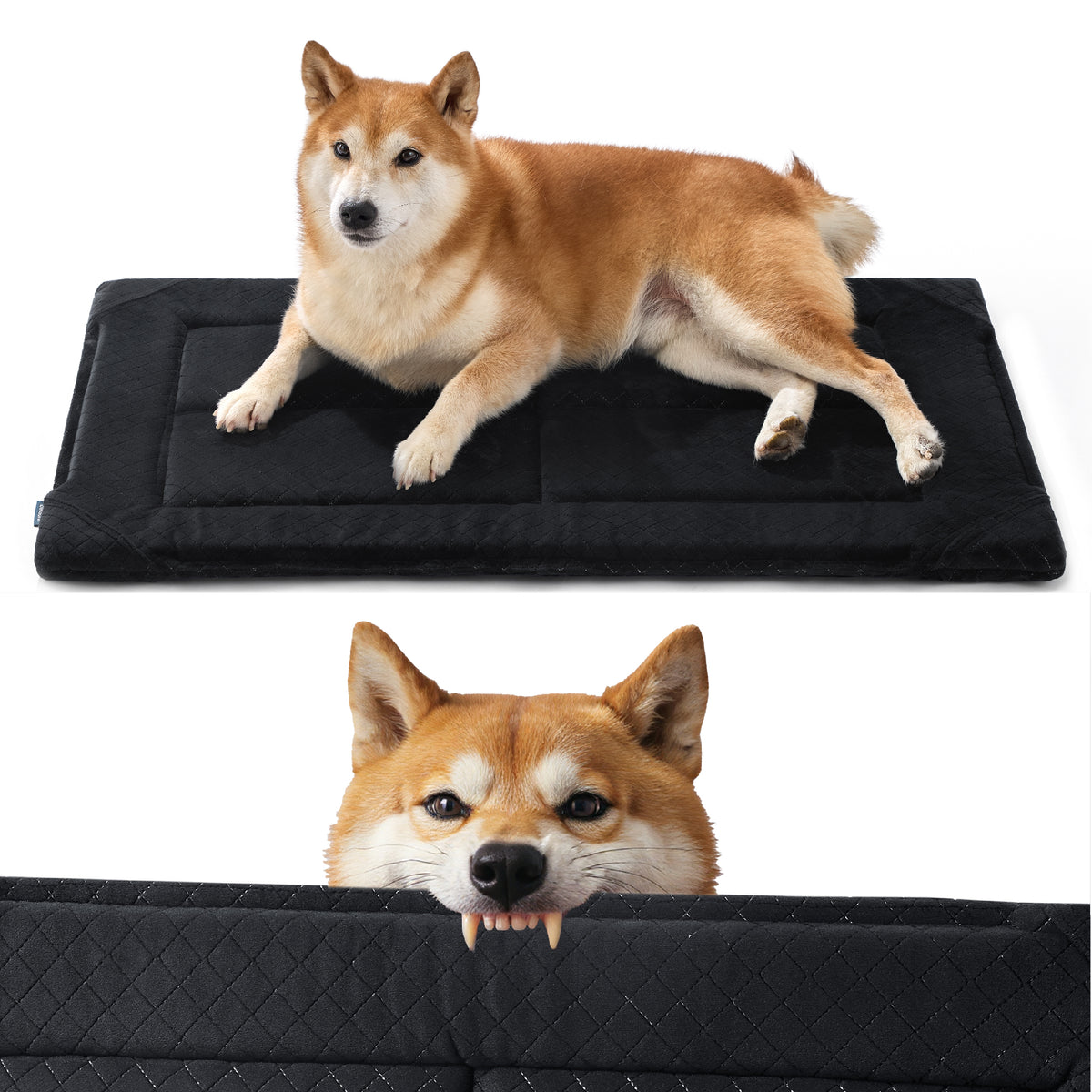 Chew-Resistant Comfy Dog Mat