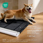 Chew-Resistant Comfy Dog Mat