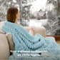 GentleSoft® Striped Flannel Heated Blanket