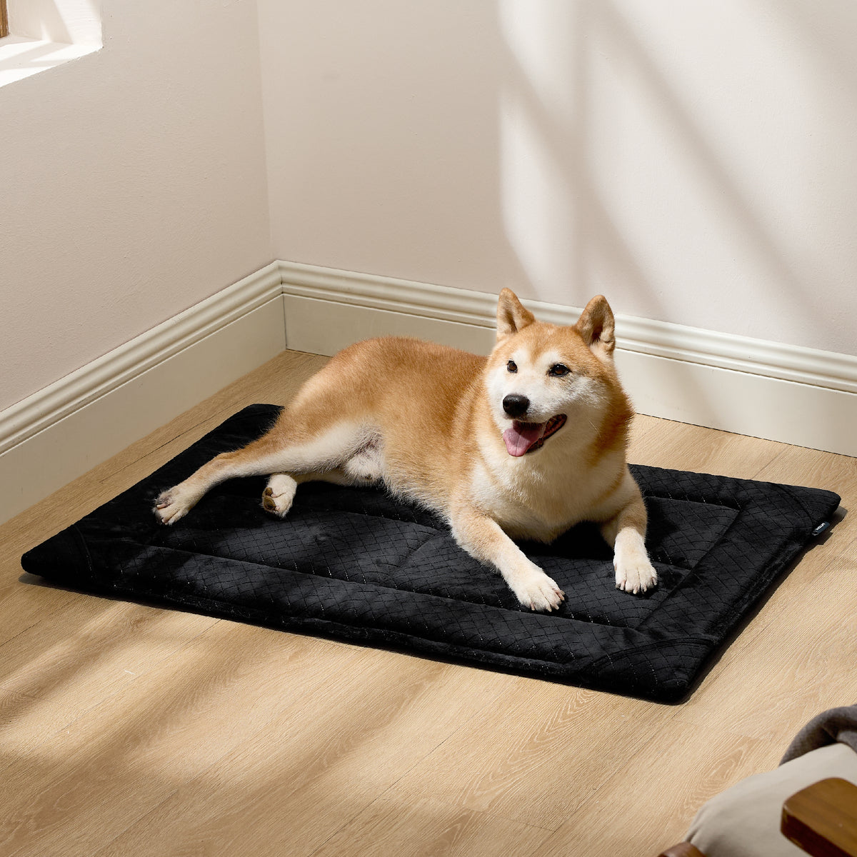 Chew-Resistant Comfy Dog Mat