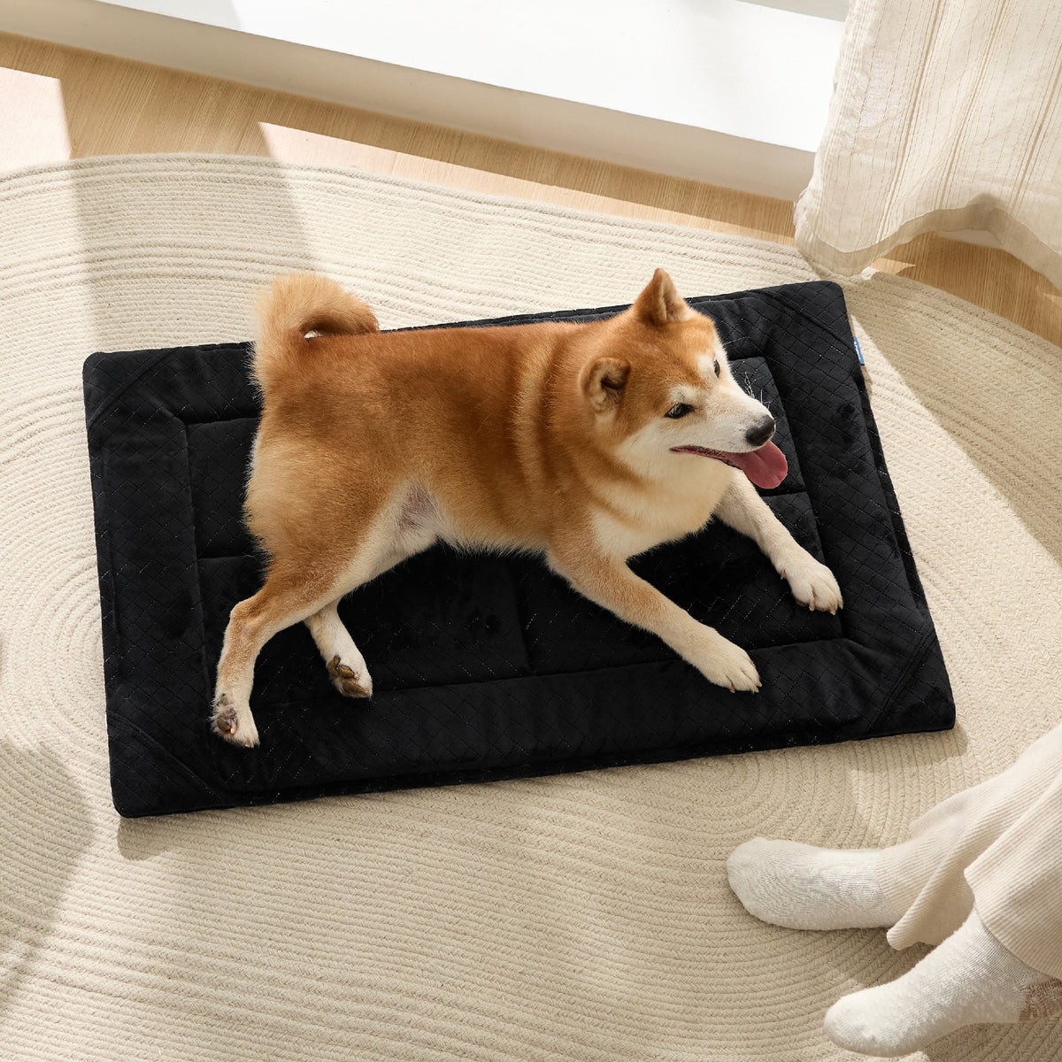 Chew-Resistant Comfy Dog Mat