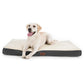 Large Orthopedic Washable Dog Bed