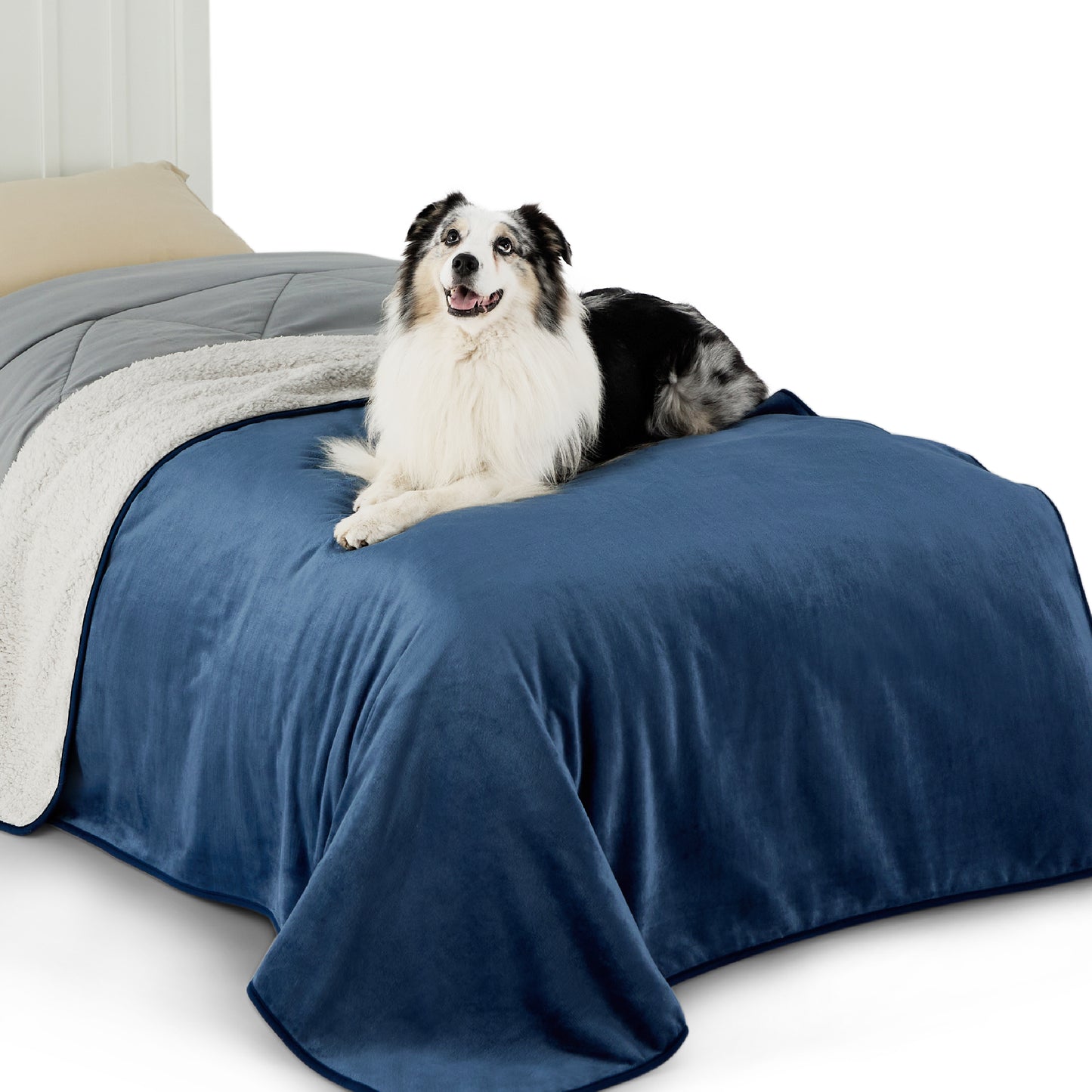 Reversible Sherpa and Microfiber Fleece Dog Blanket