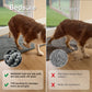 Dog Doormat For Muddy Paws