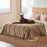 Reversible Sherpa and Microfiber Fleece Dog Blanket