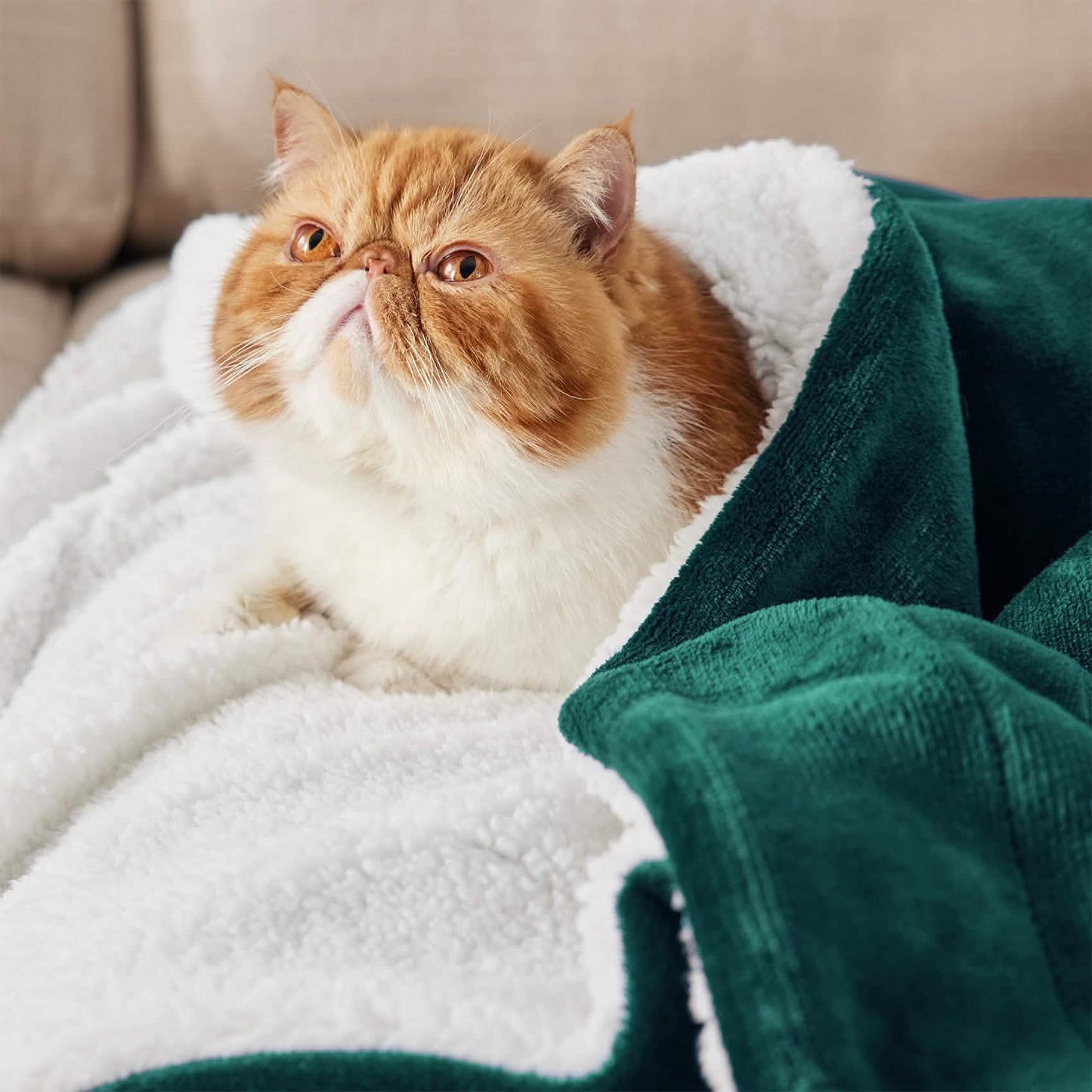 Sherpa Fleece Blanket