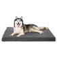 Large Orthopedic Washable Dog Bed