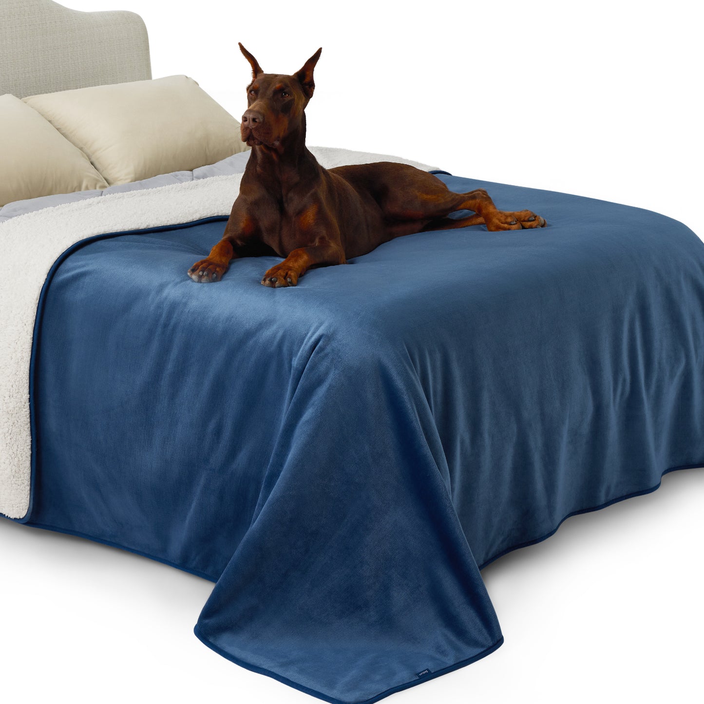Reversible Sherpa and Microfiber Fleece Dog Blanket