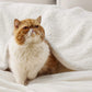 Sherpa Fleece Blanket