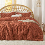 Boho Tufted Embroidery Comforter Set