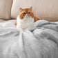 Sherpa Fleece Blanket