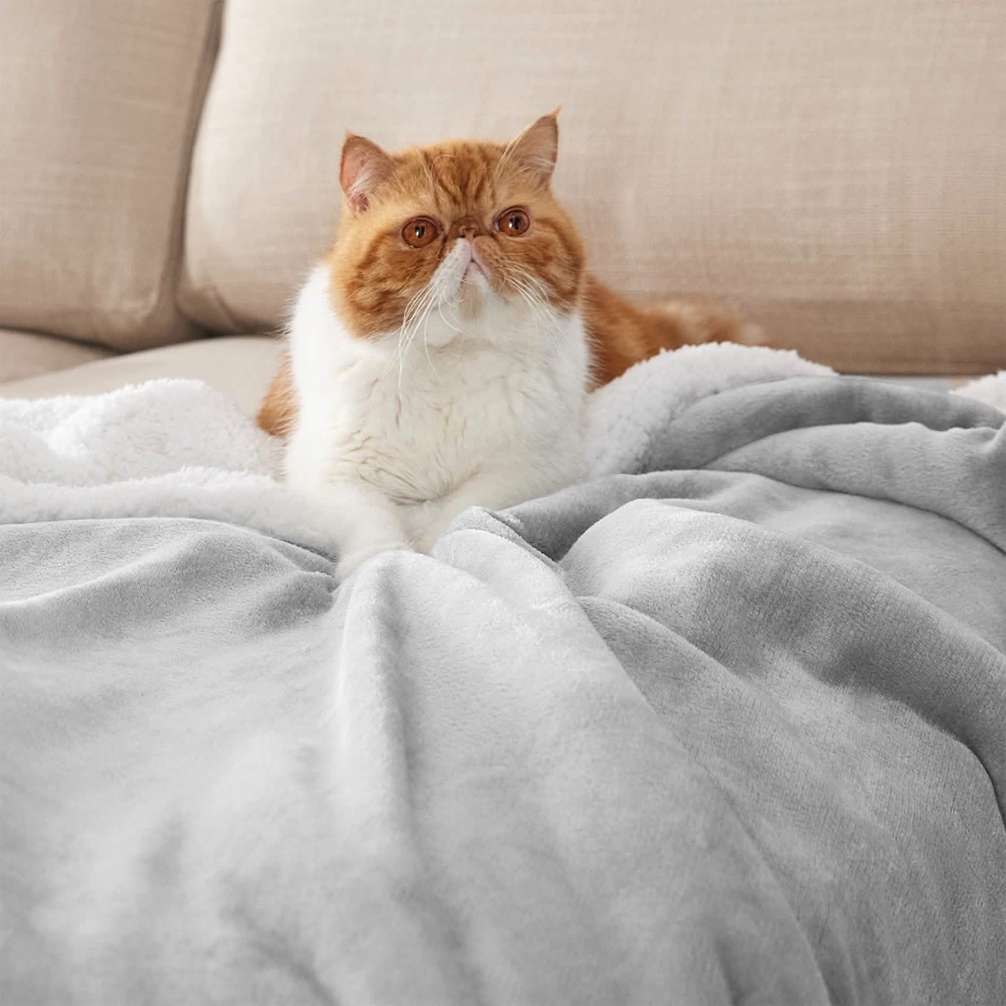 Sherpa Fleece Blanket
