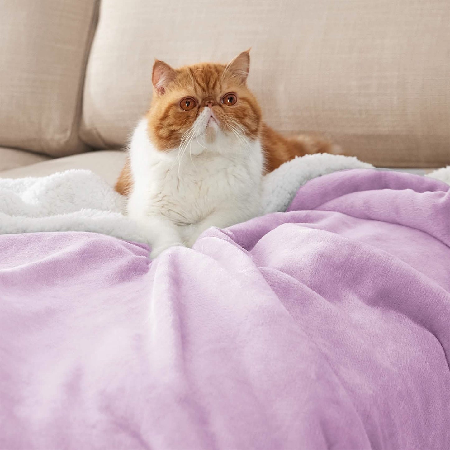 Sherpa Fleece Blanket