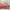 Tufted Embroidery Comforter Set