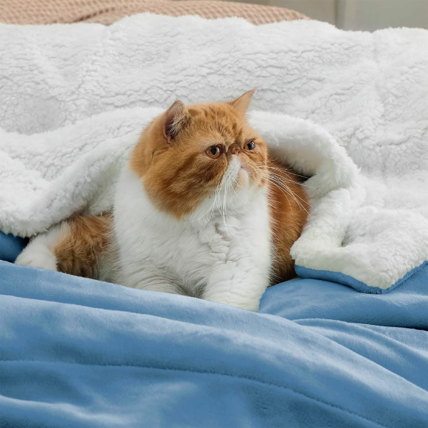 Sherpa Fleece Blanket