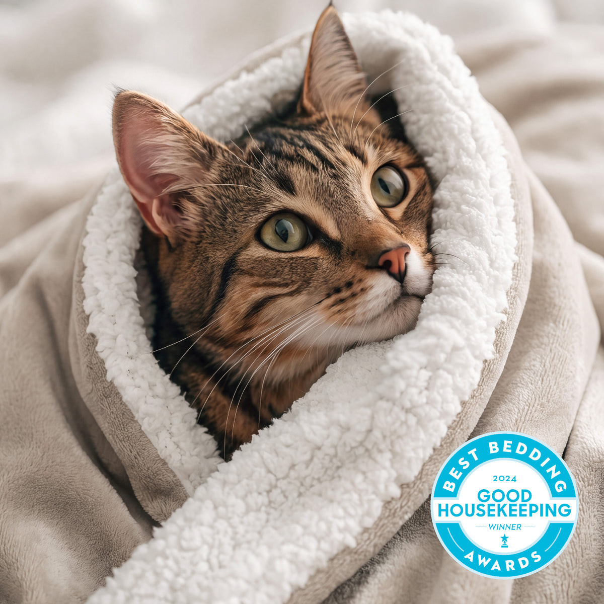 Sherpa Fleece Blanket