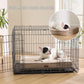 Orthopedic Memory Foam Dog Bed
