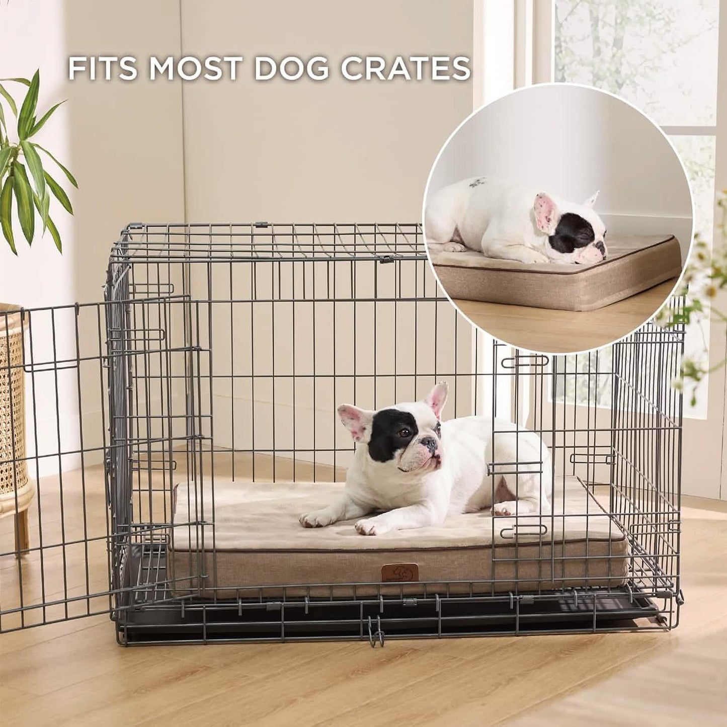 Orthopedic Memory Foam Dog Bed