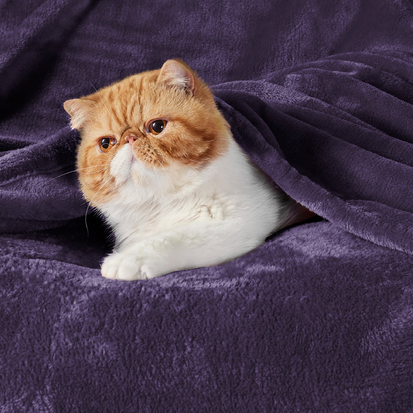 Flannel Fleece Blanket 280gsm