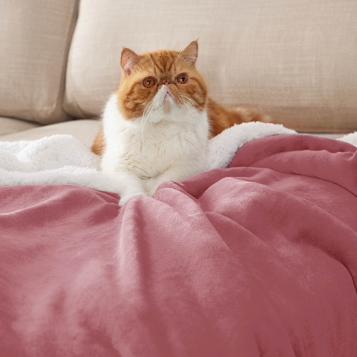 Sherpa Fleece Blanket