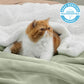 Sherpa Fleece Blanket
