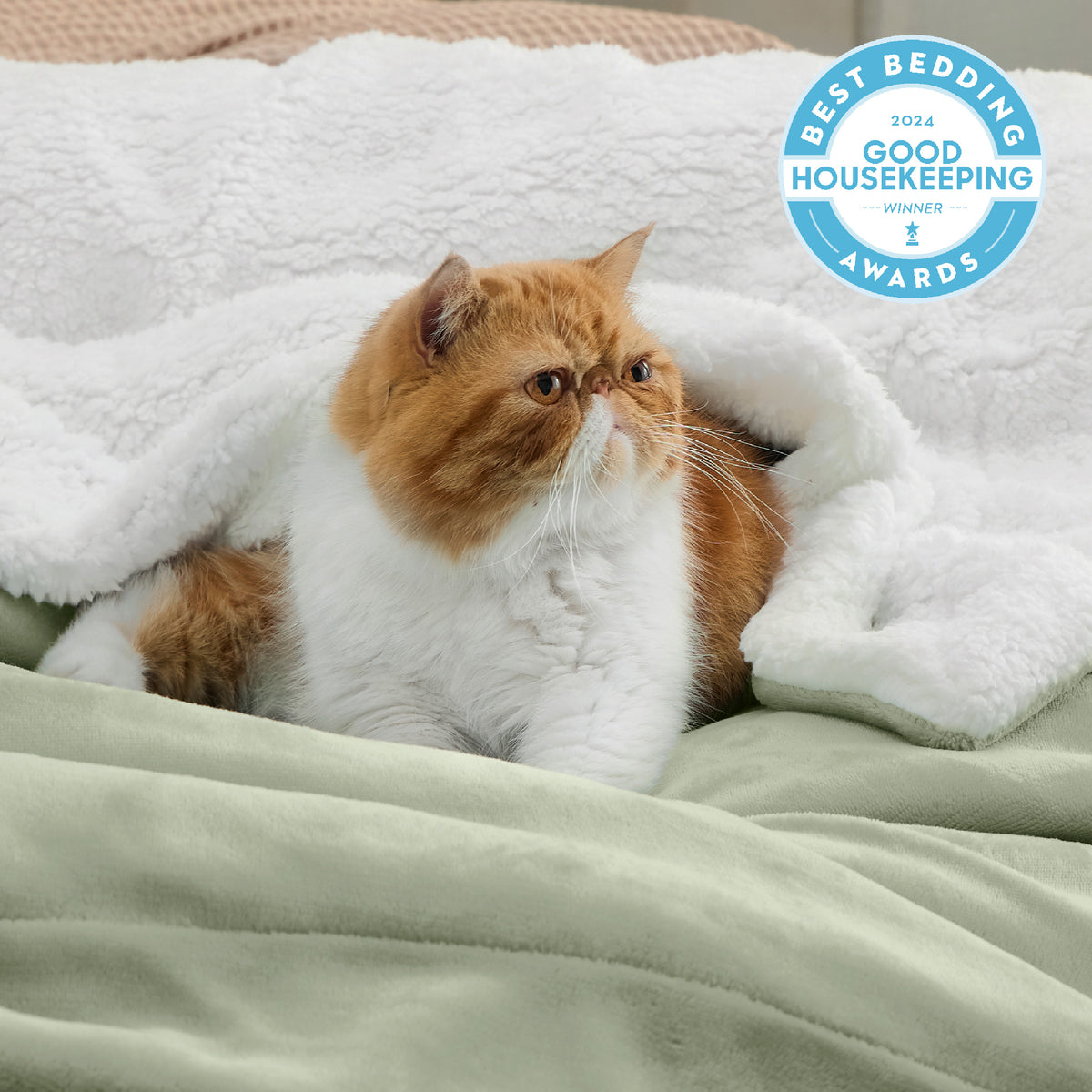 Sherpa Fleece Blanket