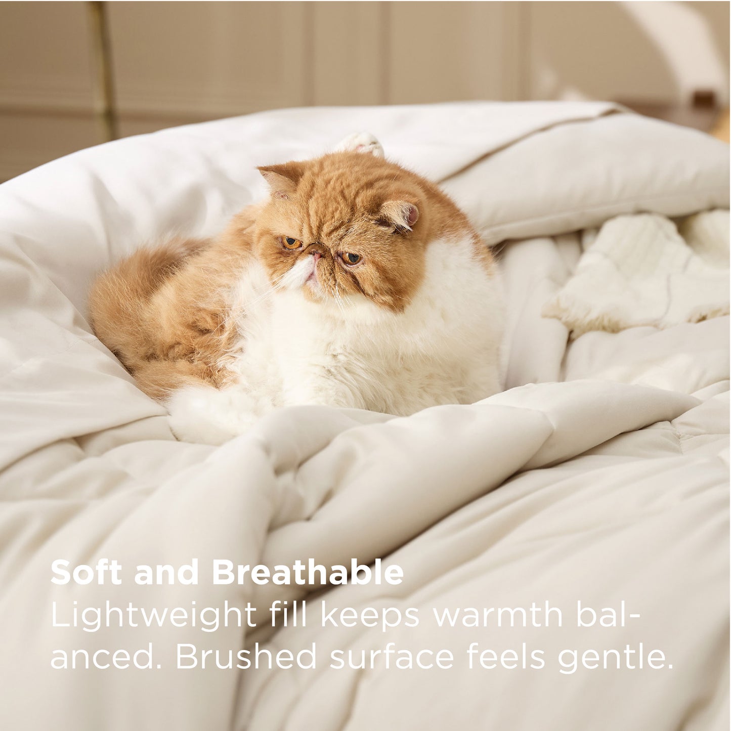 Gentlesoft® Diamond Quilted Bed-in-a-bag