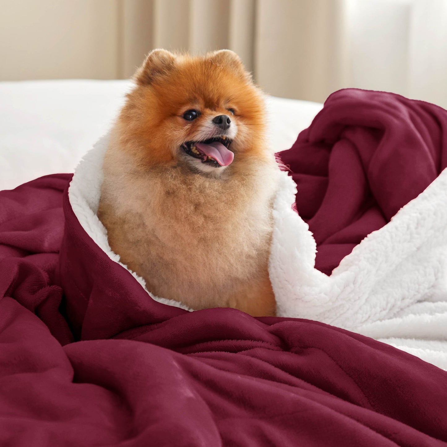 Sherpa Fleece Blanket