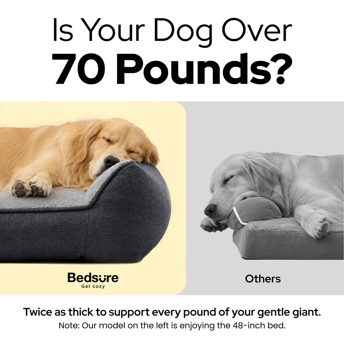 Supportive Dog Couch