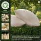 100% Organic Cotton Pillowcases