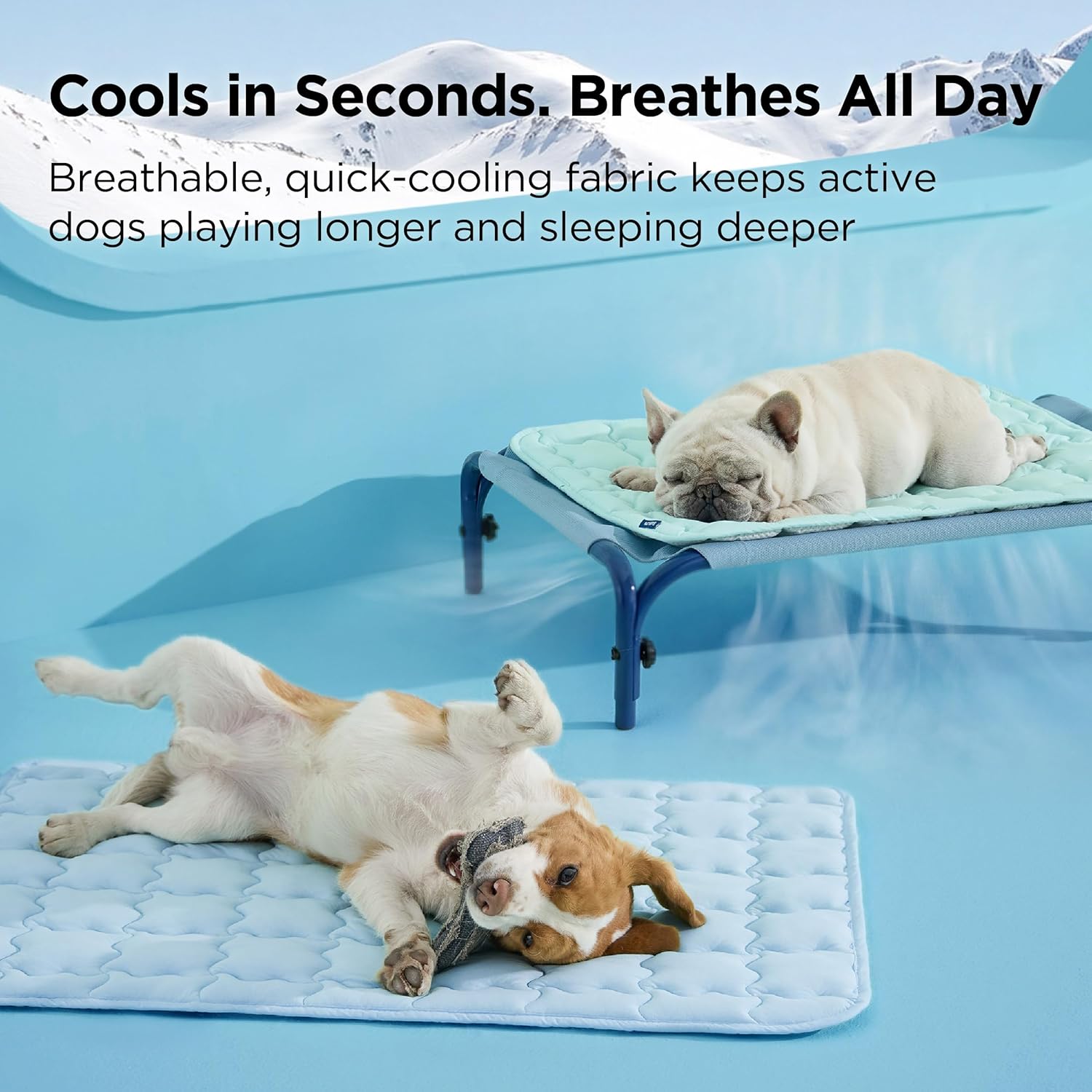 Cooling Dog Mat – Bedsure
