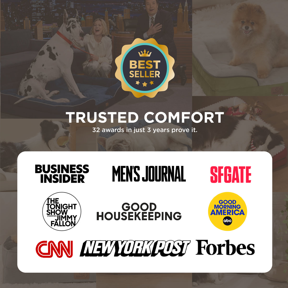 Orthopedic Cooling Pet Sofa