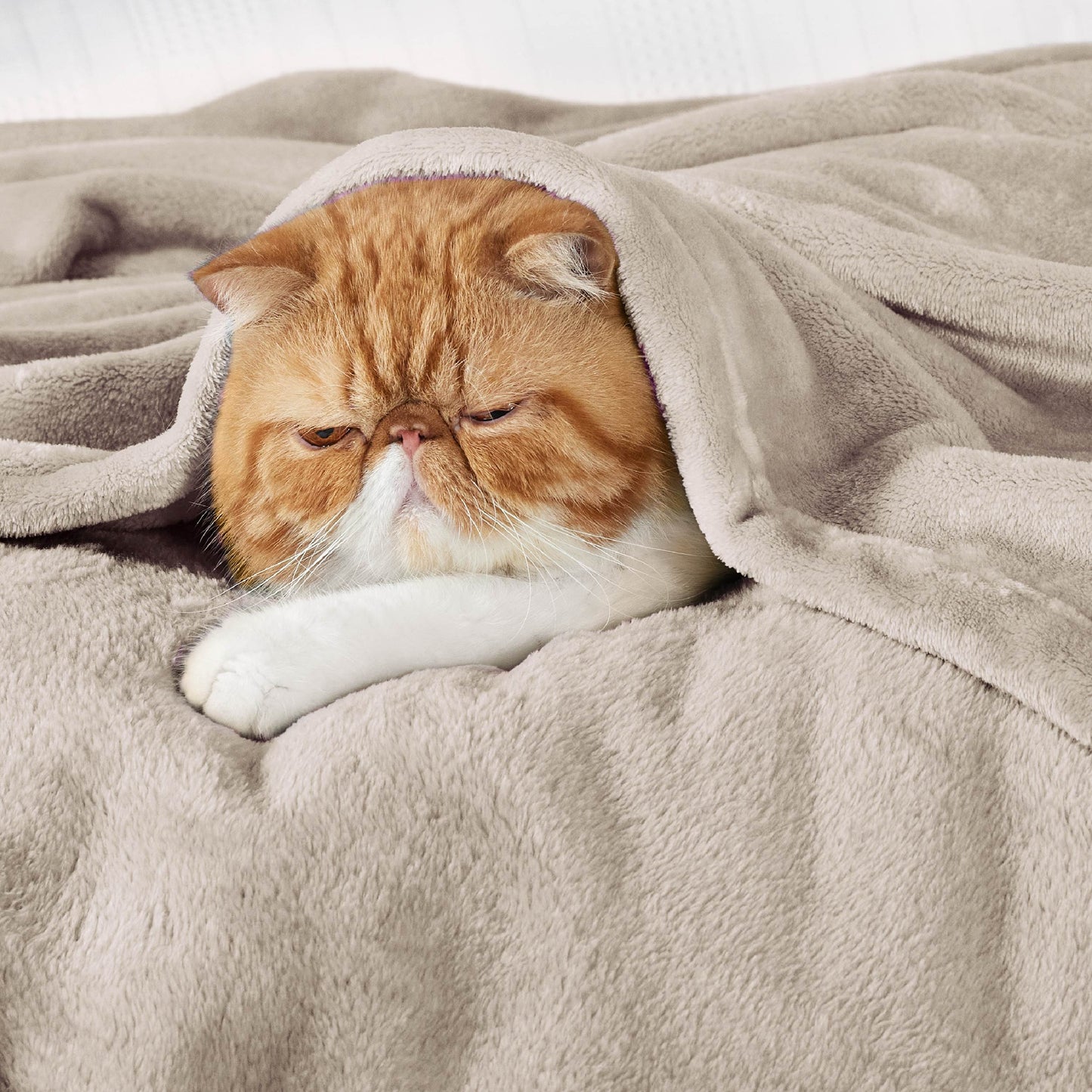 Flannel Fleece Blanket 300gsm