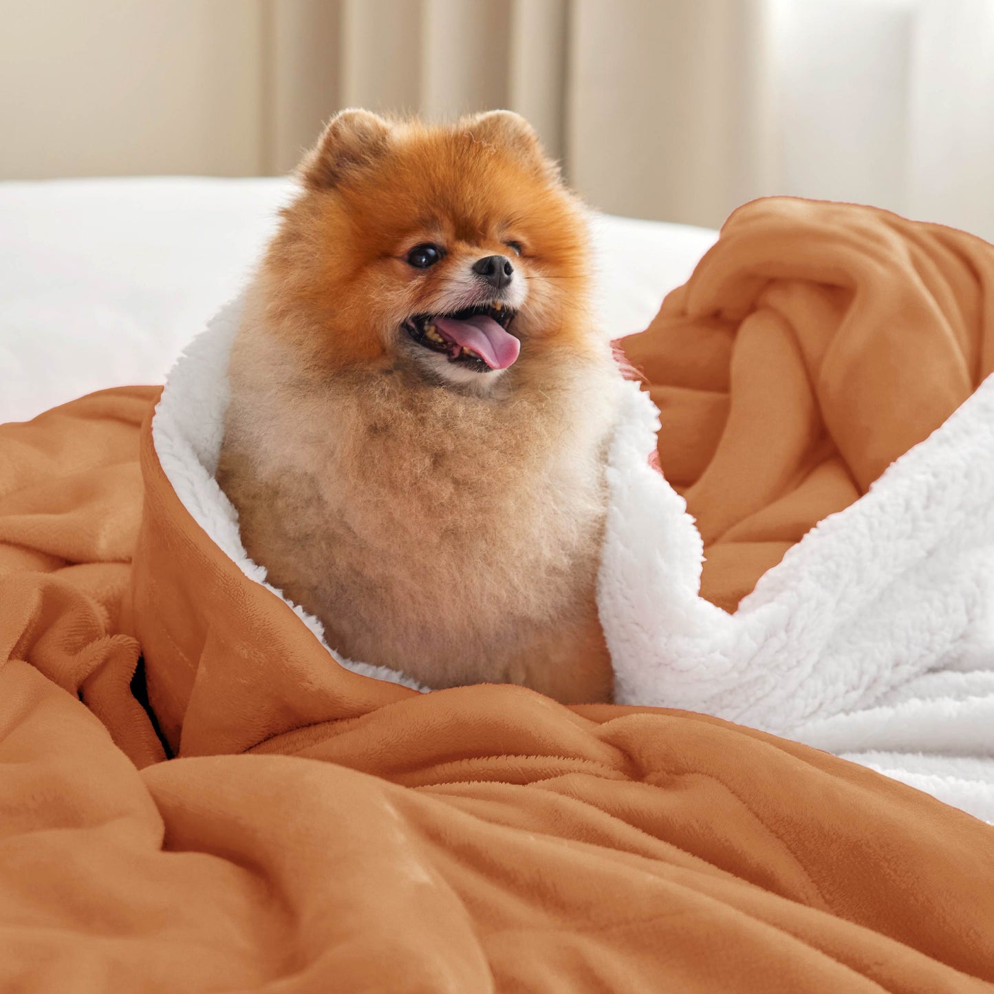 Sherpa Fleece Blanket