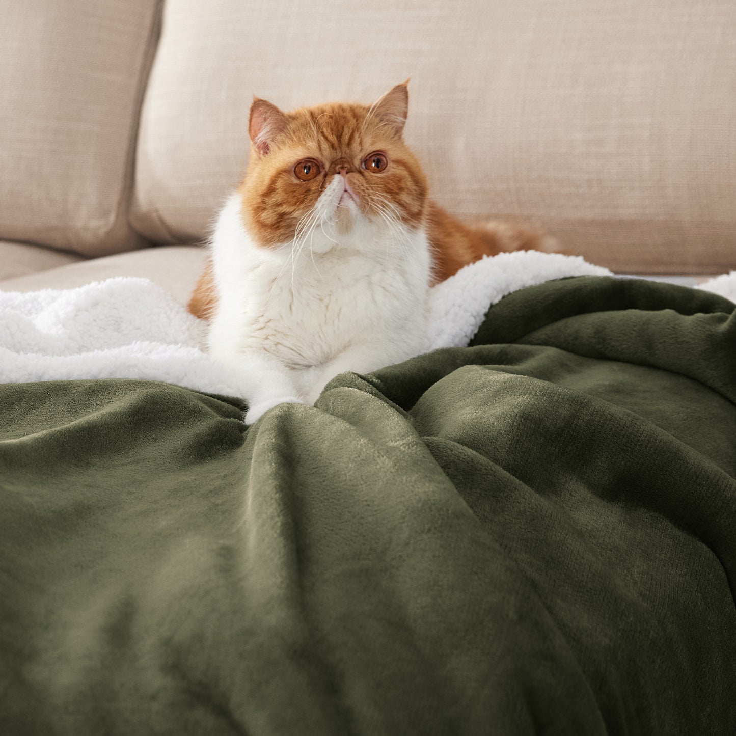 Sherpa Fleece Blanket