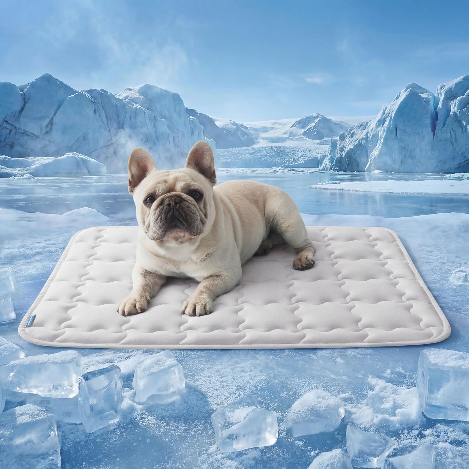 Cooling Dog Mat – Bedsure