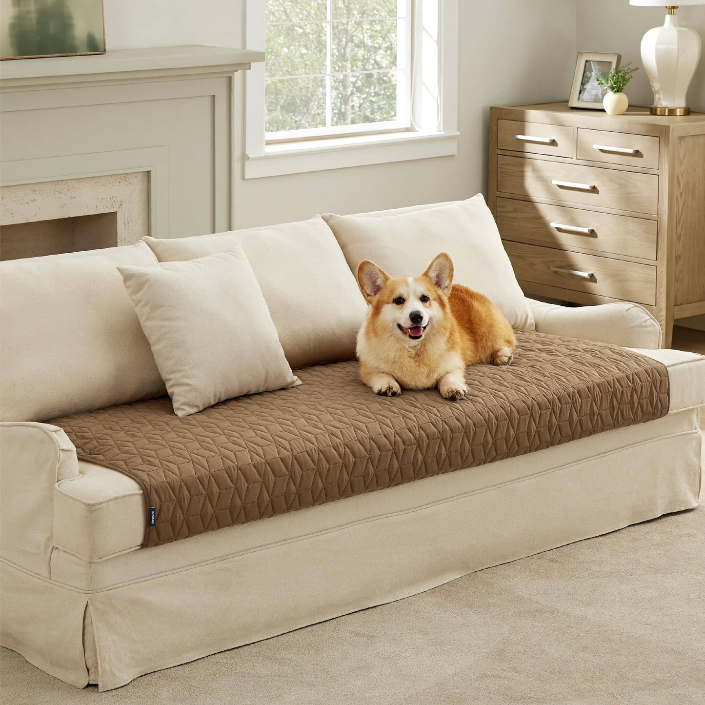 Pet Sofa Protector