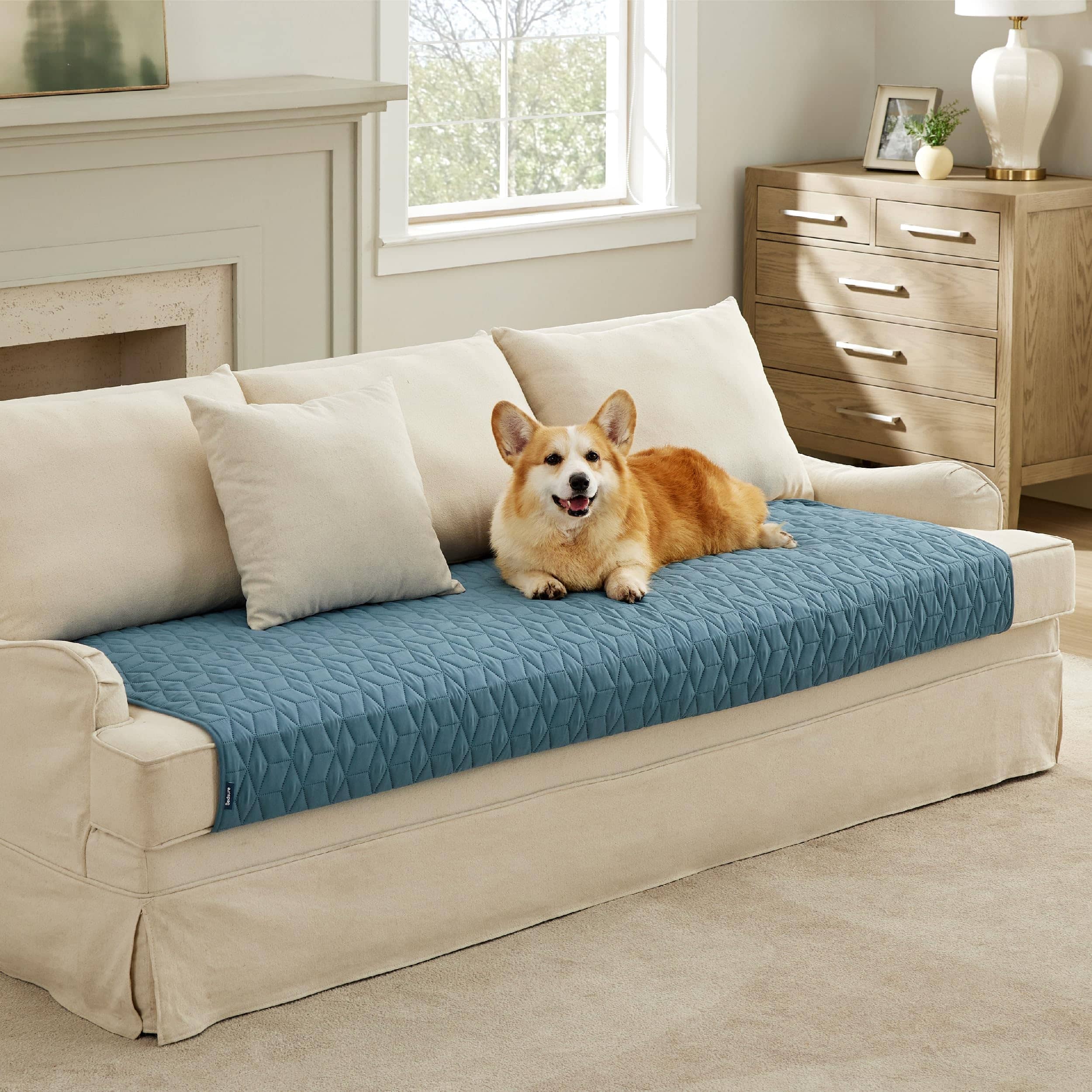 Bedsure Pet Sofa Protector