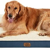 Large Orthopedic Washable Dog Bed S